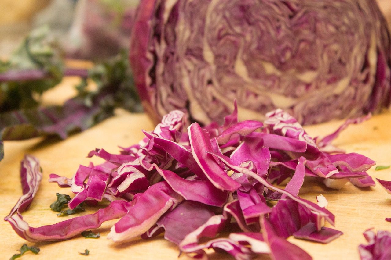 purple, cabbage, vegetable
